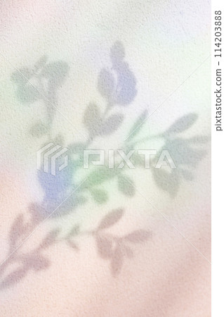 colorful plant shadows 114203888