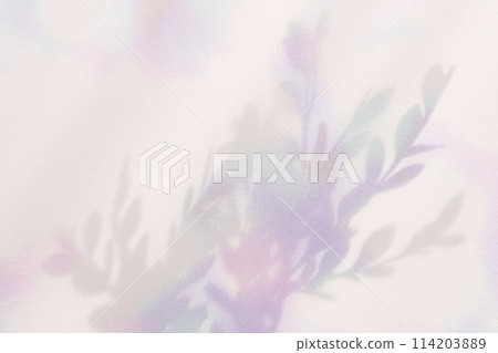 colorful plant shadows 114203889