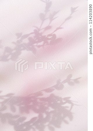 colorful plant shadows 114203890