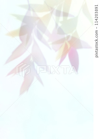 colorful plant shadows 114203891