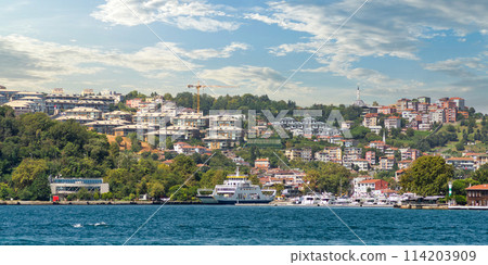 Green mountains of the Asian side of Bosphorus strait, with traditional houses and dense trees in a summer day Green mountains of the Asian side of Bosphorus strait, with traditional houses and dense trees in a summer day 114203909