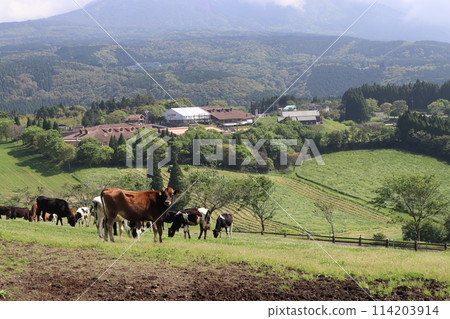 Golden Week/Takachiho Ranch/Miyazaki 114203914