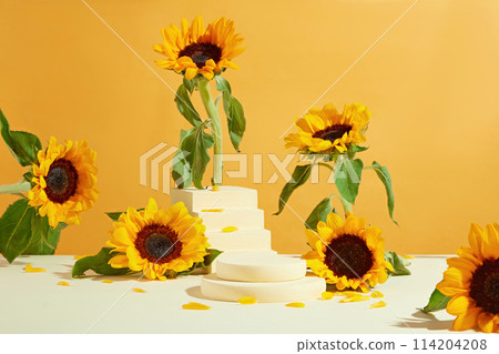 Yellow background against various sunflowers neatly arranged on the white table strewn with flower petals, empty podium in center for displaying. Front view photo and copy space Yellow background against various sunflowers neatly arranged on the white table strewn with flower petals, empty podium in center for displaying. Front view photo and copy space 114204208