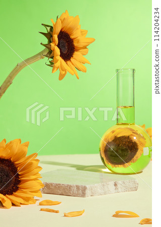 Pastel green background and sunflower template for photo of products made of ingredient from nature. Front view photo, space for text and blank empty podium 114204234