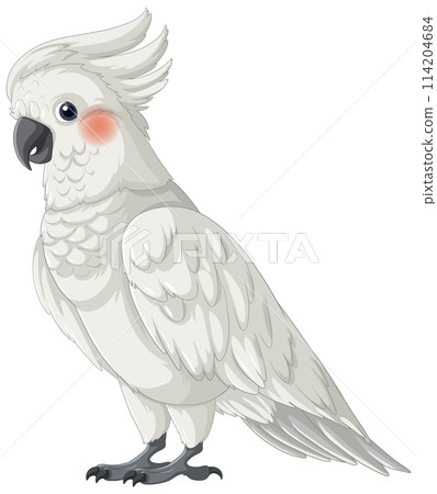 Detailed Vector Illustration of a Cockatoo 114204684