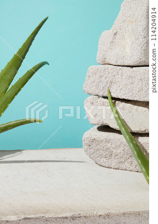 Gray plaster counter with vacant space for displaying product made by fresh aloe vera, pastel blue background. Photo was taken from front view with space for adding element of designing Gray plaster counter with vacant space for displaying product made by fresh aloe vera, pastel blue background. Photo was taken from front view with space for adding element of designing 114204914