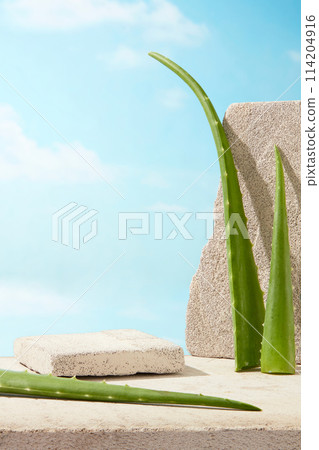 The vertical photo was taken from front view with some aloe vera leaning on a rock, an empty podium for displaying product made from aloe vera. Blank space for design, copy space The vertical photo was taken from front view with some aloe vera leaning on a rock, an empty podium for displaying product made from aloe vera. Blank space for design, copy space 114204916