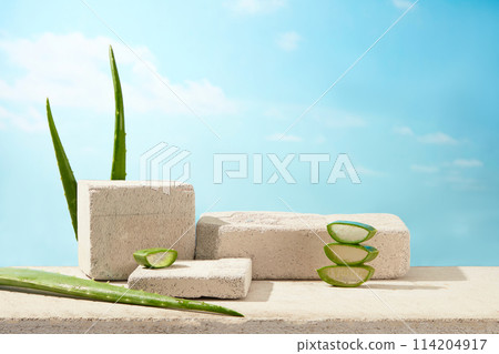 Aloe vera theme photo with a few plaster podium featured on table, decorated by some aloe vera on sky background. Space for text, front view Aloe vera theme photo with a few plaster podium featured on table, decorated by some aloe vera on sky background. Space for text, front view 114204917