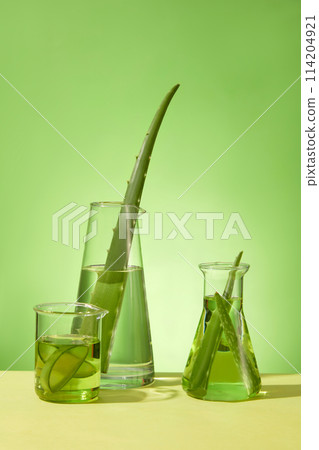 The creative template with elements of aloe vera and laboratory equipment for designing photo of aloe vera cosmetic research theme. Blank space for text, front view The creative template with elements of aloe vera and laboratory equipment for designing photo of aloe vera cosmetic research theme. Blank space for text, front view 114204921