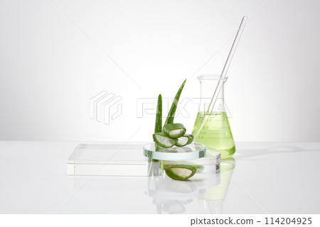 Aloe vera minimalist scene for cosmetic product presentation, empty showcase in rectangle shape, laboratory instruments on white texture. Aloe vera is known widely for its health and skin care Aloe vera minimalist scene for cosmetic product presentation, empty showcase in rectangle shape, laboratory instruments on white texture. Aloe vera is known widely for its health and skin care 114204925