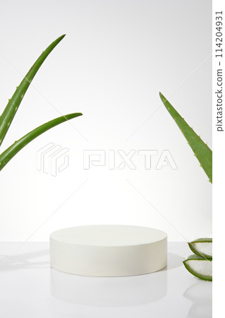 Photo of aloe vera theme with a blank round pedestal isolated on white background, aloe vera essence contains most of the beneficial bio active compounds in the plant such as vitamin and minerals Photo of aloe vera theme with a blank round pedestal isolated on white background, aloe vera essence contains most of the beneficial bio active compounds in the plant such as vitamin and minerals 114204931