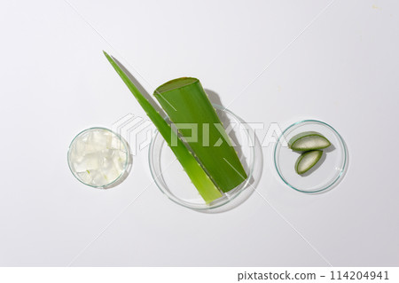 Flat lay of laboratory glassware with fresh aloe vera on white background. Photo for advertise organic cosmetics with top view and copy space. Flat lay of laboratory glassware with fresh aloe vera on white background. Photo for advertise organic cosmetics with top view and copy space. 114204941