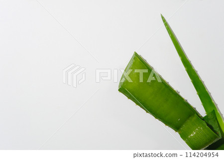 Minimalist template for promote product for skin or health made from natural ingredient such as aloe vera on white background, vacant space for adding elements of designing or text Minimalist template for promote product for skin or health made from natural ingredient such as aloe vera on white background, vacant space for adding elements of designing or text 114204954