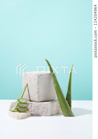 Light blue background with aloe vera is the main element, an empty plaster pedestal placed in center for displaying product, decorated by some vera sliced and branches. Front view, copy space 114204964