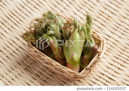 Freshly harvested taros 114205037