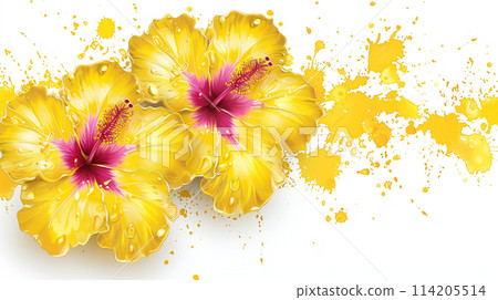 黃色芙蓉花背景圖片 114205514