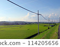 農村稻田和電線 114205656