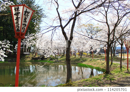 Oida no Sato Park Cherry Blossom Festival 114205701