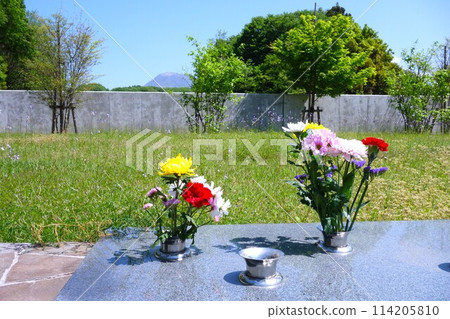 森林墓地 森林墓地 114205810