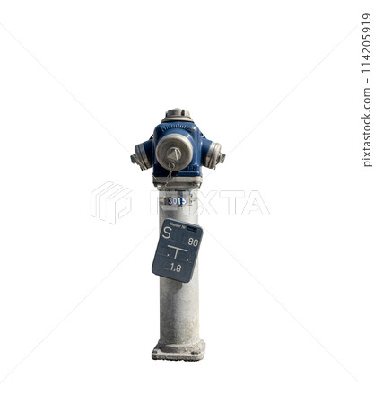 a fire hydrant on the sidewalk 114205919