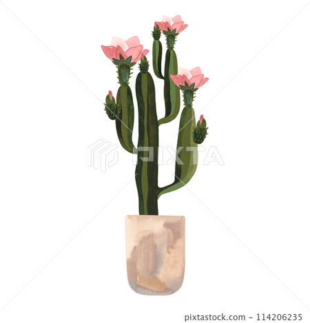 Blooming cactus in a light concrete pot. Plants for the home. Floriculture. Interior decoration. Isolated watercolor illustration on white background. Clipart. 114206235