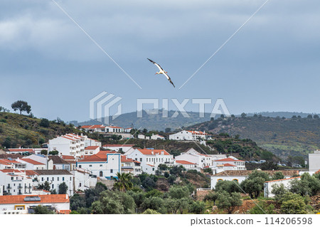 White stork flying over the river Rio Guadiana at Mertola, Algarve, Portugal. White stork flying over the river Rio Guadiana at Mertola, Algarve, Portugal. 114206598