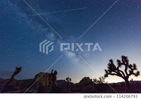 The Milky Way over Joshua Tree National Park 114206793