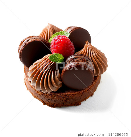 白色背景上的覆盆子巧克力蛋糕切口 白色背景上的覆盆子巧克力蛋糕切口 114206955