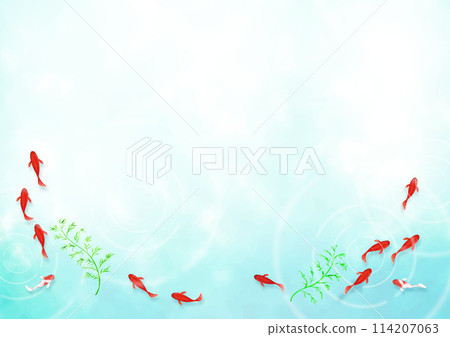 A light blue summer background material of the water surface with goldfish swimming A light blue summer background material of the water surface with goldfish swimming 114207063