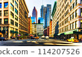 紐約 早晨 城市風光 114207526