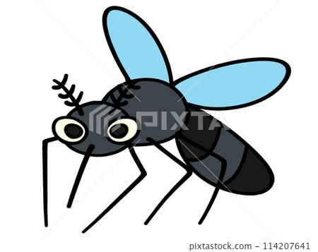 Cute mosquito illustration material Cute mosquito illustration material 114207641