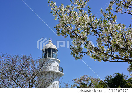 Kabashima燈塔 114207971