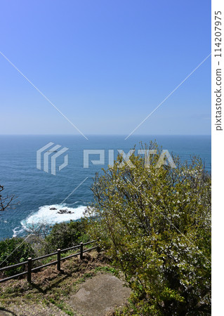 Scenery from Kabashima Lighthouse Park Scenery from Kabashima Lighthouse Park 114207975