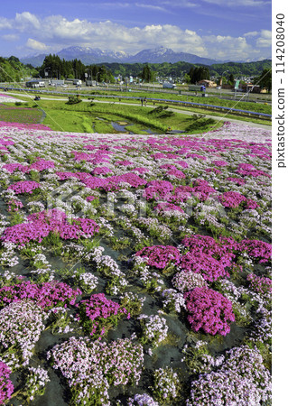 從芝櫻公園到越後三山(縱向)1 從芝櫻公園到越後三山(縱向)1 114208040