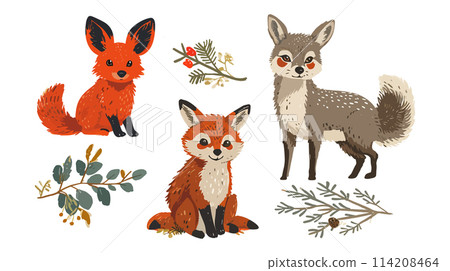 Hand drawn foxes and foliage illustration set Hand drawn foxes and foliage illustration set 114208464