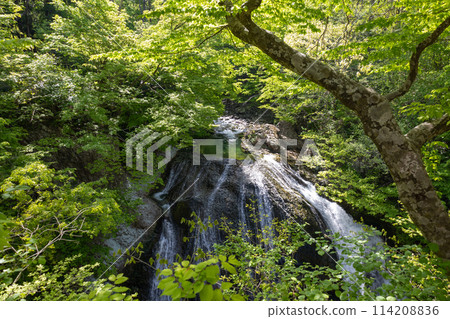 Otaki waterfall surrounded by fresh greenery 114208836