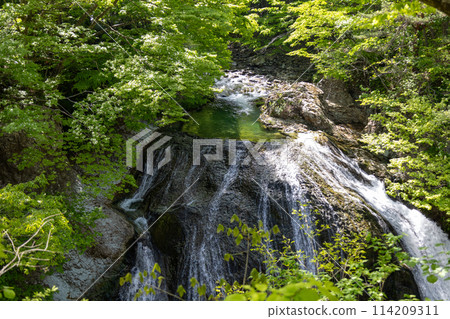 Sekiyama Falls, shining amidst fresh greenery 114209311
