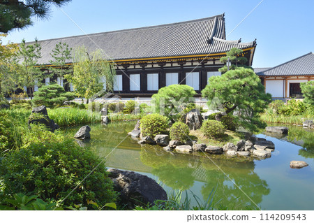Sanjusangendo Temple's strolling garden and main hall Sanjusangendo Temple's strolling garden and main hall 114209543