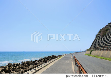 Coastal road, early May, Ibaraki Prefecture Coastal road, early May, Ibaraki Prefecture 114209550