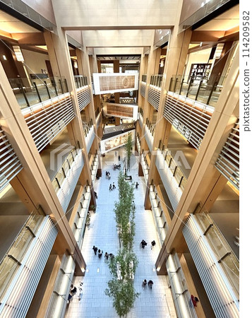 Shopping mall with colonnade 114209582