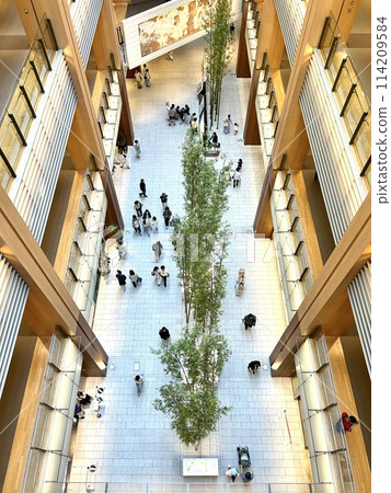 Shopping mall with colonnade 114209584