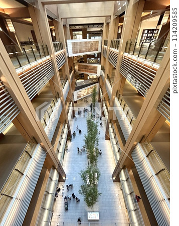 Shopping mall with colonnade 114209585