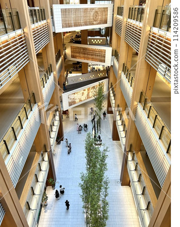 Shopping mall with colonnade 114209586