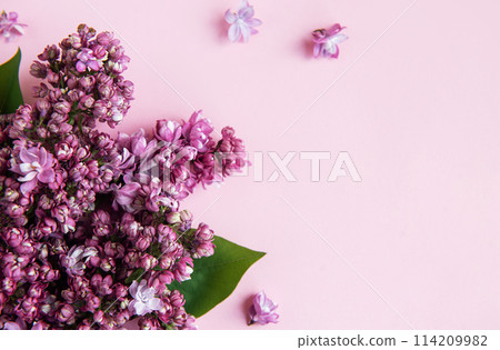 Lilac flowers background. Lilac flowers background. 114209982