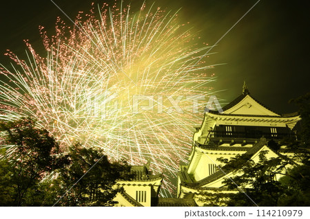 Fireworks over Okazaki Castle 114210979