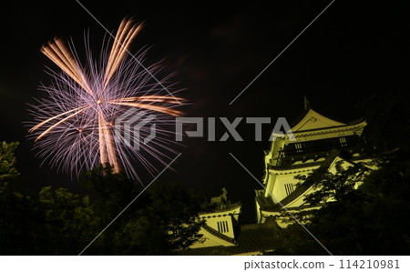 Okazaki Castle and a single firework 114210981