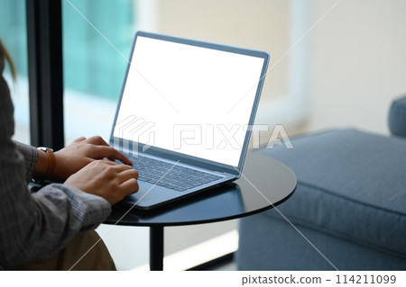 Cropped shot of young businesswoman using laptop at the lounge area of an office 114211099
