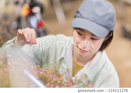 Woman working at a flower farm Woman working at a flower farm 114211276