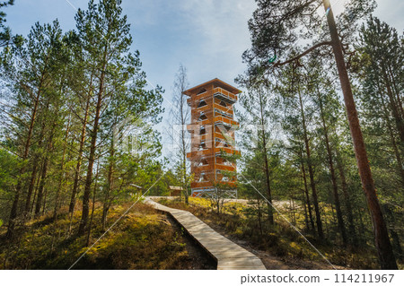 Viru Bog Viru Raba peat swamp, Estonia 114211967
