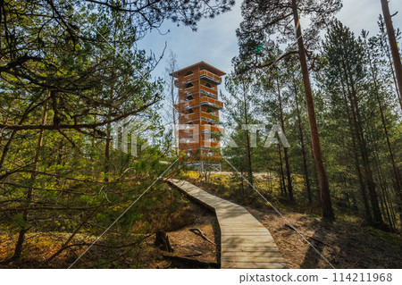 Viru Bog Viru Raba peat swamp, Estonia 114211968